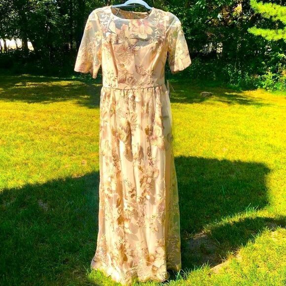 ADRIANNA PAPELL ROSE QUART LONG ILLUSION MESH DRESS 8 NWT - Picture 9 of 16